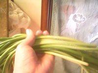 口感不错的蒜苔炒肉做法图解1)