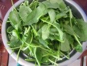 爽口的炝拌菠菜做法图解1)