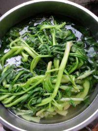 好吃的波菜馅饺子做法图解2)