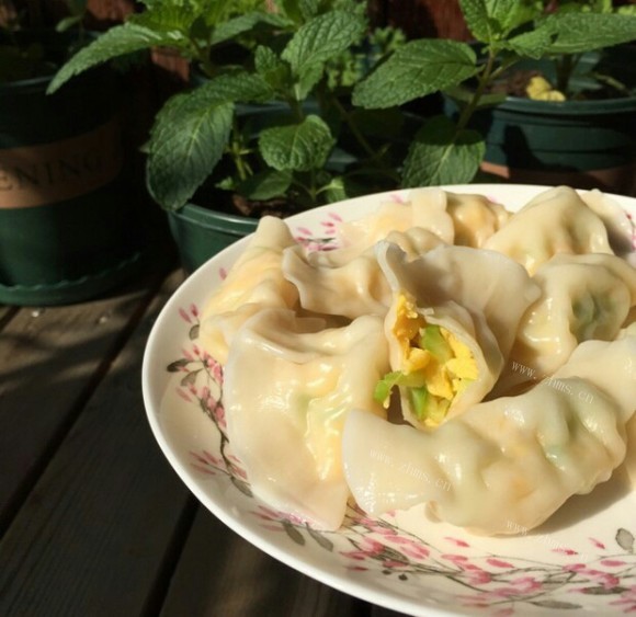 芳香四溢的西葫芦鸡蛋饺子