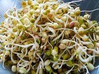 家常菜炒绿豆芽做法图解1)