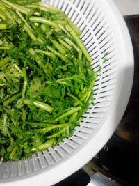 家常菜茼蒿炖豆腐做法图解6)