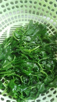 营养的剁椒拌芹菜叶做法图解4)