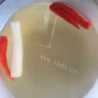 自制酸萝卜做法图解2)
