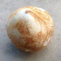 椰子炖蛋的做法图解一