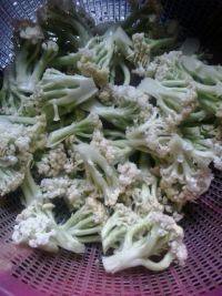 家常菜番茄菜花做法图解1)
