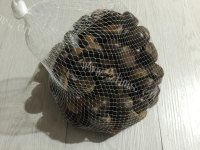 美味的板栗烧肉做法图解1)