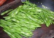 豆角煎蛋做法图解2)