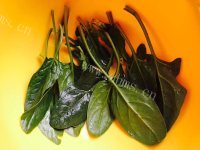 好吃的菠菜虾仁蛋羹做法图解1)