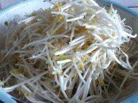 家常菜凉拌绿豆芽做法图解1)