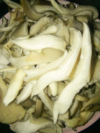 家常菜蘑菇炒青菜做法图解2)