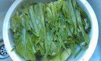 家常菜蒜茸油麦菜做法图解2)