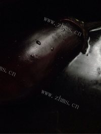美味的蒜泥茄子做法图解2)