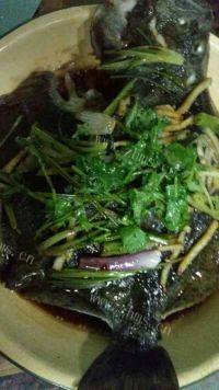 家常菜蒸多宝鱼