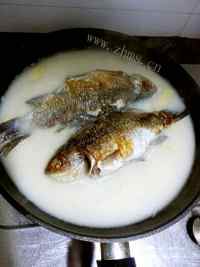 营养鲫鱼豆腐芫荽汤做法图解3)