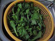 口感不错的茼蒿鱼头汤做法图解3)