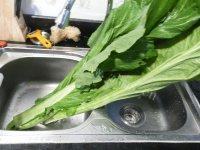 家常芥菜炒饭做法图解3)