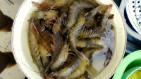 美味的清蒸鲜虾做法图解1)