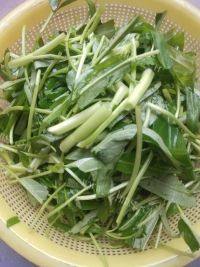 家常菜蒜茸空心菜做法图解1)