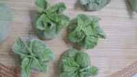 翡翠白菜蒸饺做法图解2)