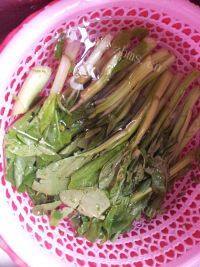 家常菜炒菜心做法图解1)