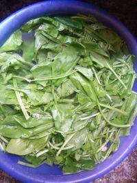 家常菜蚝油菠菜做法图解1)