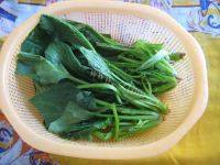 脆口的凉拌菠菜粉丝做法图解1)