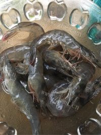 美味的海鲜炒面做法图解7)