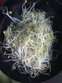 家常菜黄豆芽炖粉条做法图解5)