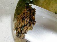 口感不错的蒜蓉豆豉蒸排骨做法图解3)