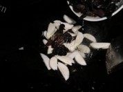 色泽不错的滑溜鱼片做法图解5)