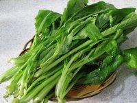 易做的清炒小白菜做法图解1)