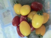 美味的鲜肉云吞做法图解1)