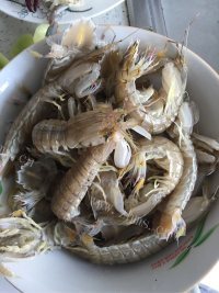 美味干锅海鲜做法图解1)