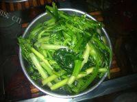 鲜香的蚝油菜心