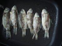 滋补的金针菇鲫鱼汤做法图解4)