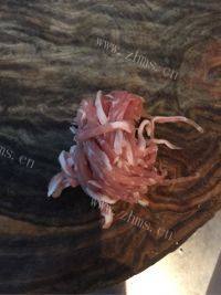 家常菜蒜苔炒肉做法图解3)