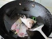 美味的鱼头鱼尾豆腐汤做法图解2)