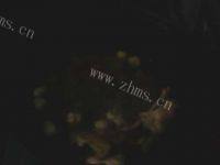 家常菜炸素丸子做法图解9)
