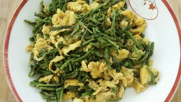 好吃的香椿炒鸡蛋