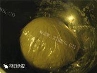 自己做的牛肉馅饼做法图解2)