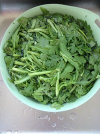 开胃蒜蓉茼蒿做法图解1)