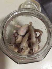 香气浓郁的泡椒凤爪做法图解9)