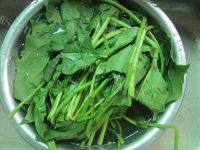 家常菜凉拌菠菜粉丝做法图解1)