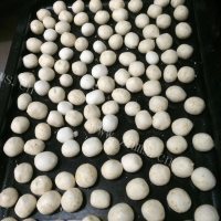 美味的自制花生馅汤圆做法图解11)