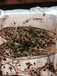 色香味俱全的蒜蓉烤茄子做法图解5)