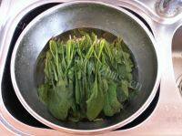 甘脆的菠菜拌粉丝做法图解1)