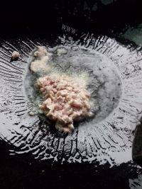 十分喜欢的豆角炒肉做法图解2)