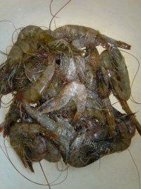 浓香的炸虾做法图解2)