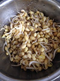 美味的干煽黄豆芽做法图解1)